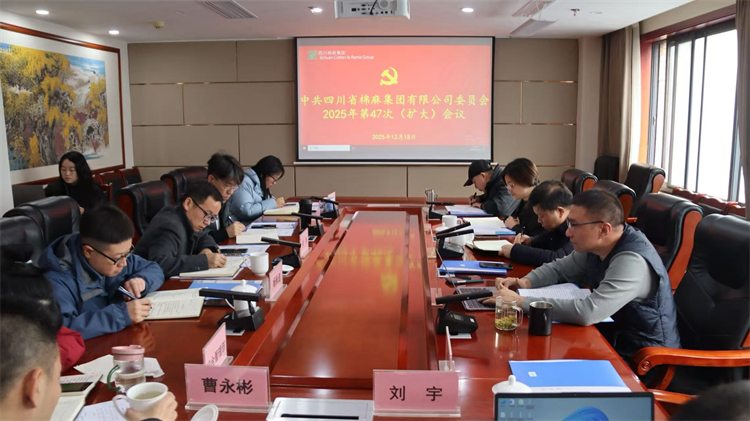 集團公司召開2025年第47次黨委（擴大）會議